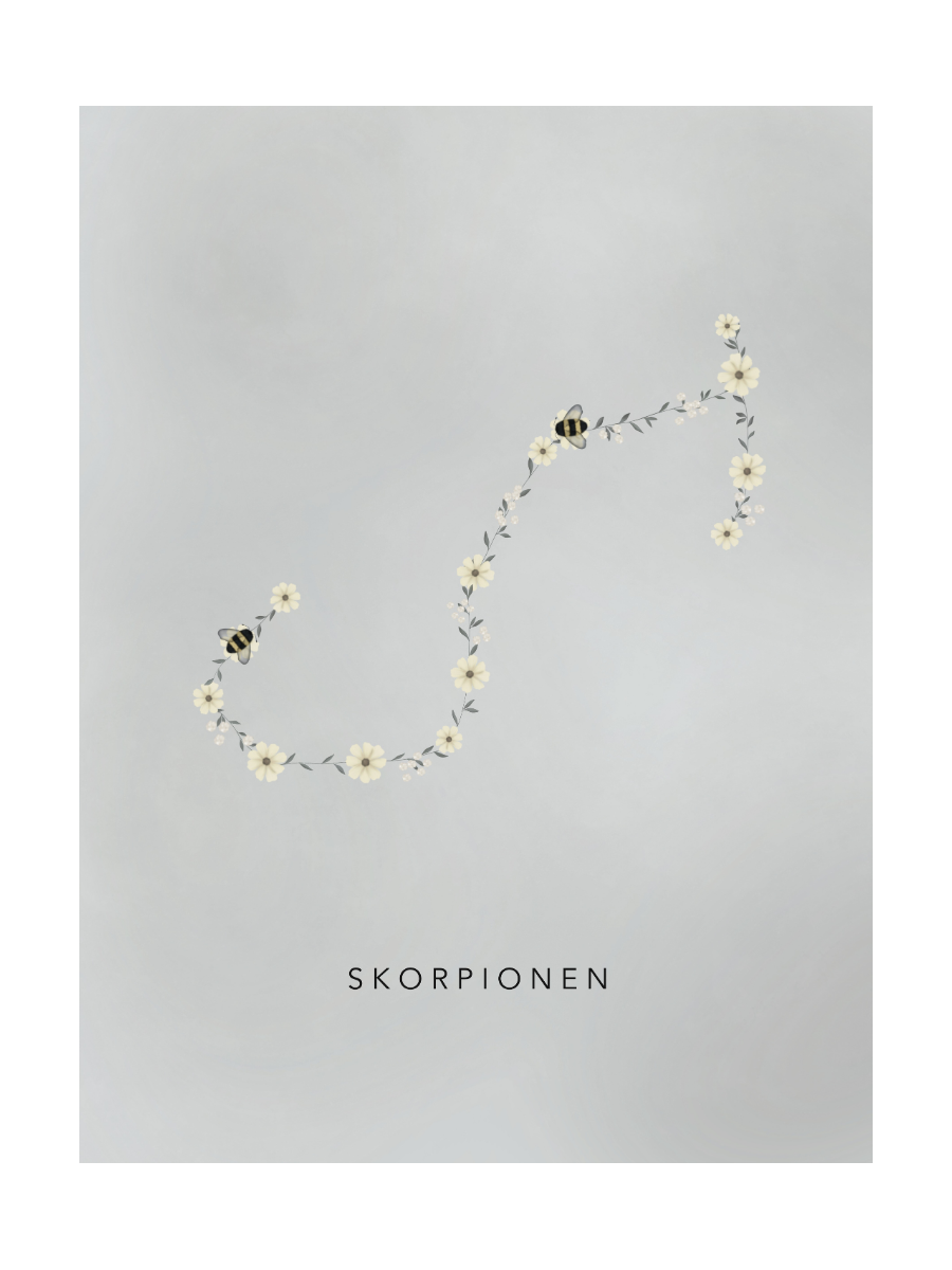 Stjärntecken Humlan Och Skorpionen