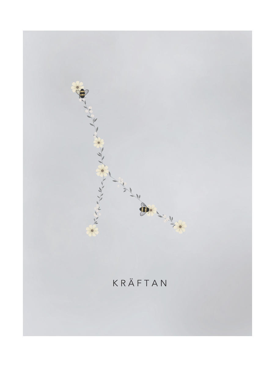 Stjärntecken Humlan Och Kräftan