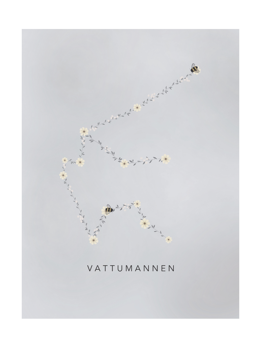 Stjärntecken Humlan Och Vattumannen
