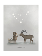 Stjärntecken Björnen Och Stenbocken